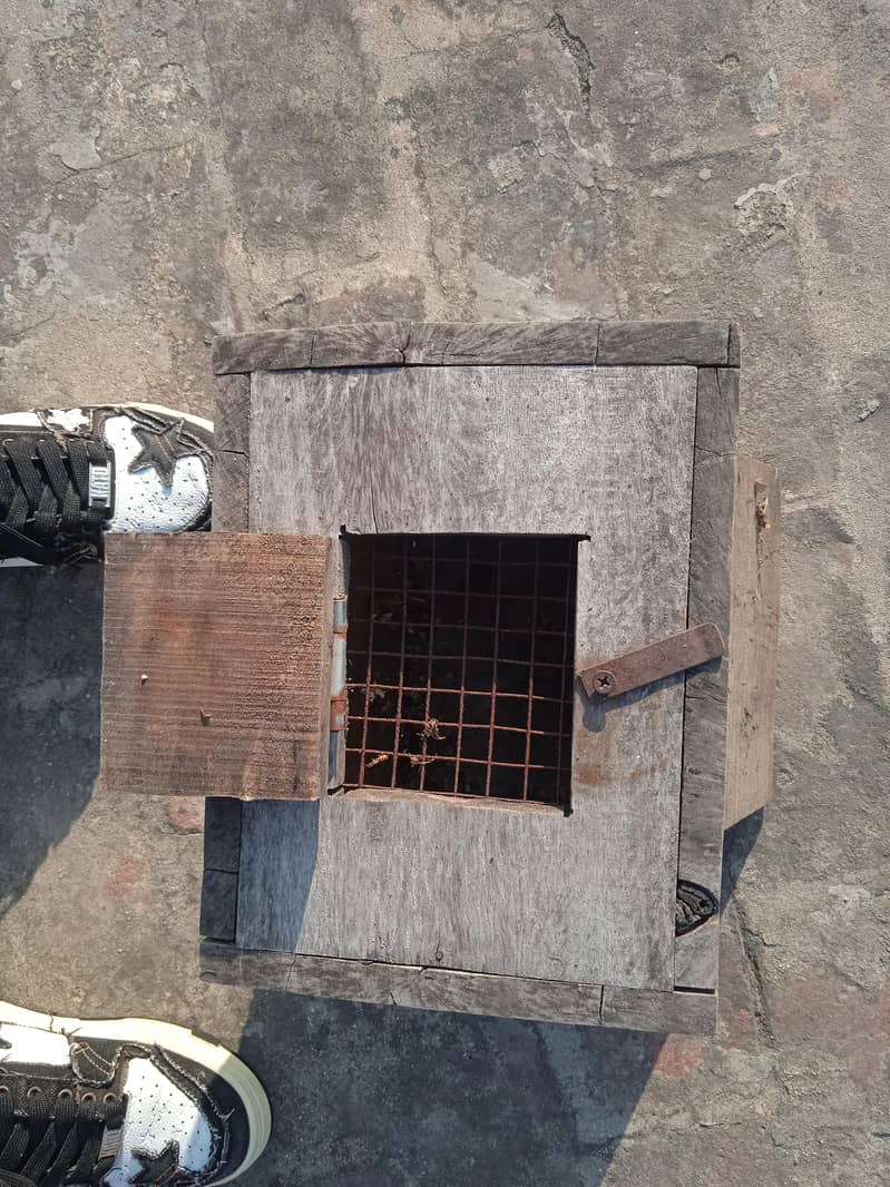 Nesting Box 11