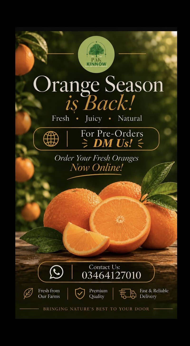 oranges kinnow 3