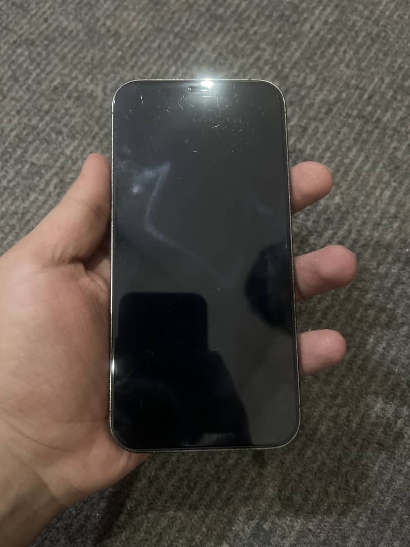 Apple iPhone 12 Pro Max 1