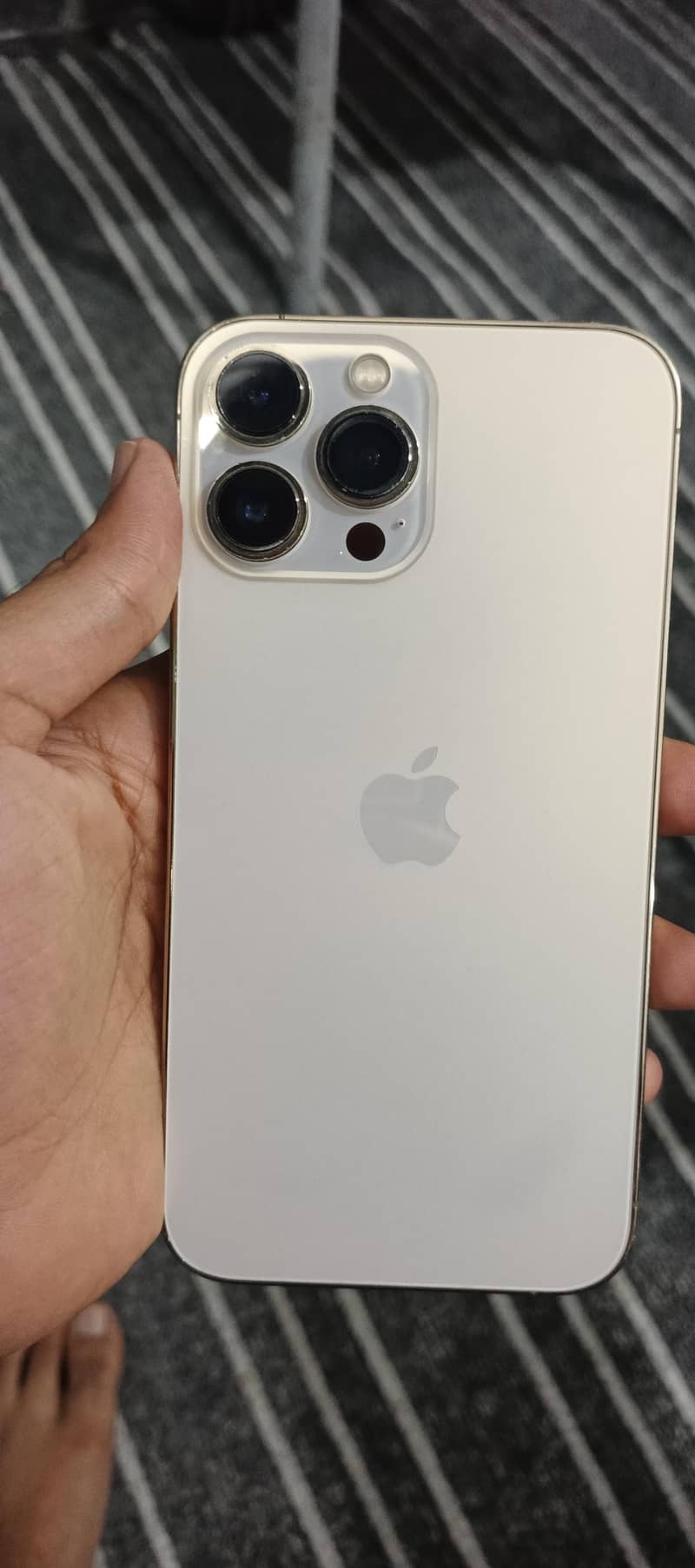 Apple iPhone 13 Pro Max 1