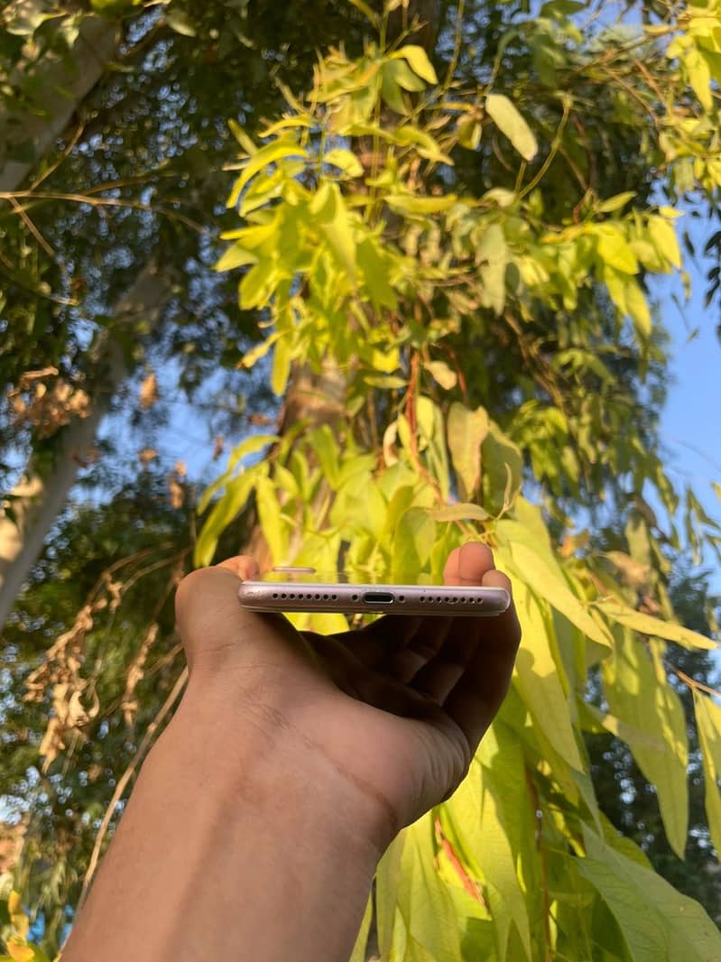 Apple iPhone 7 Plus 3