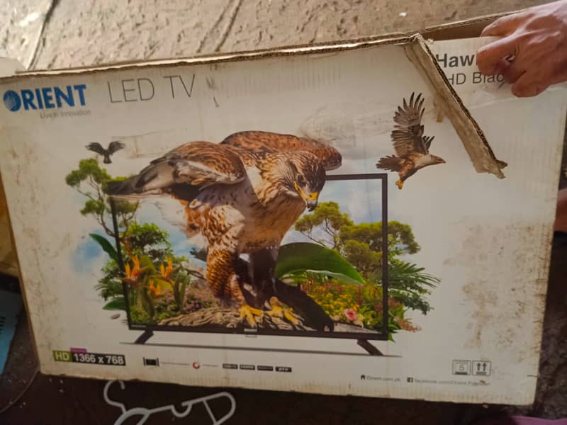 LED TV Orient 2