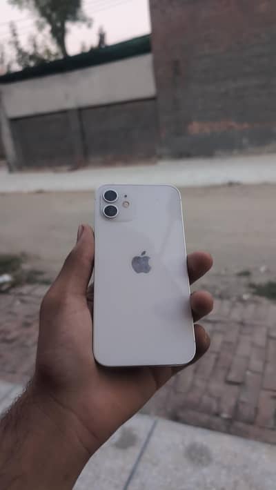 Apple iPhone 12