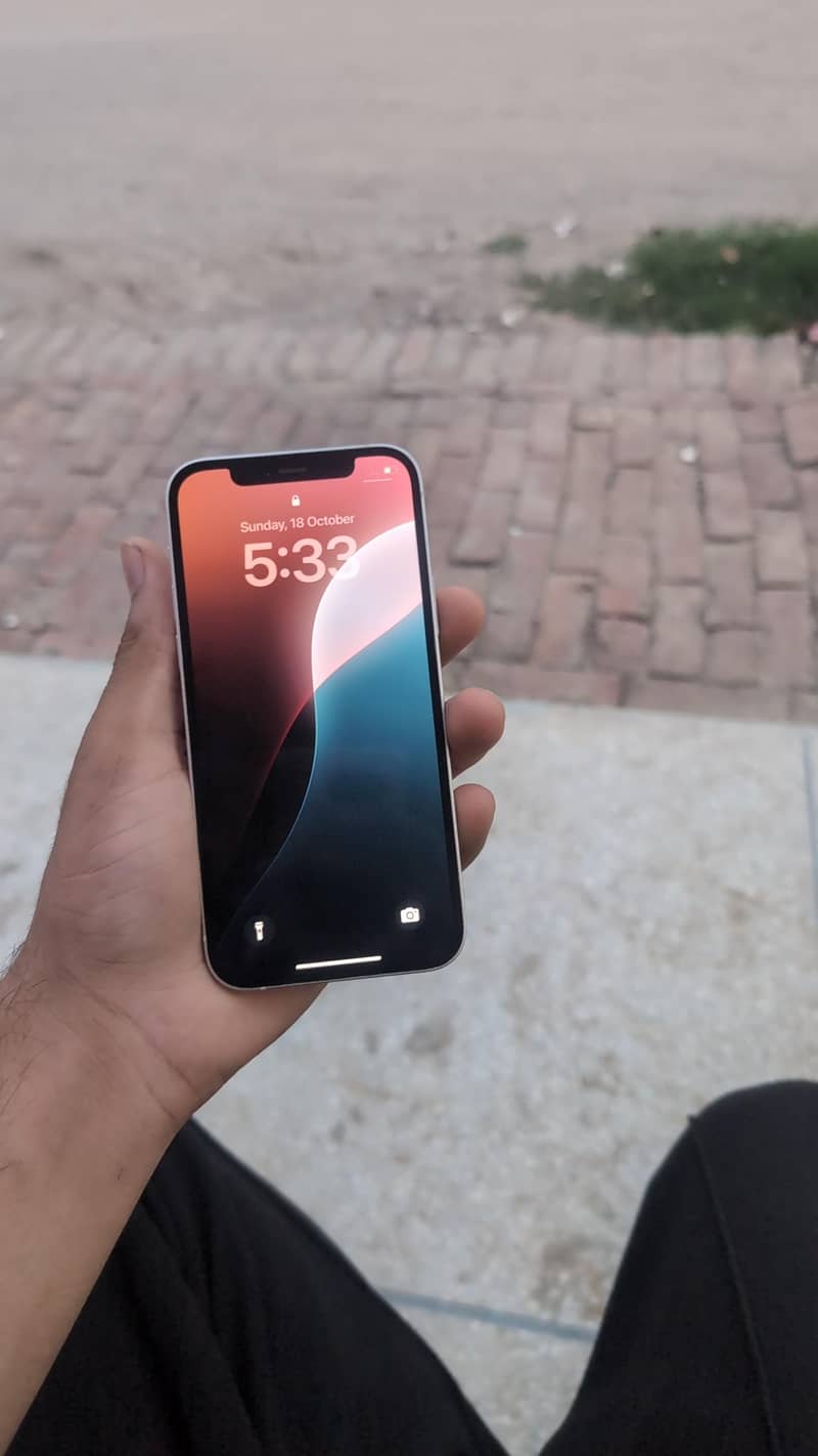 Apple iPhone 12 1