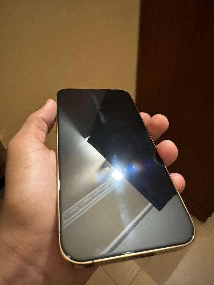 Apple iPhone 13 Pro Max 2