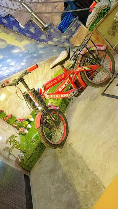 BMX Bicycle