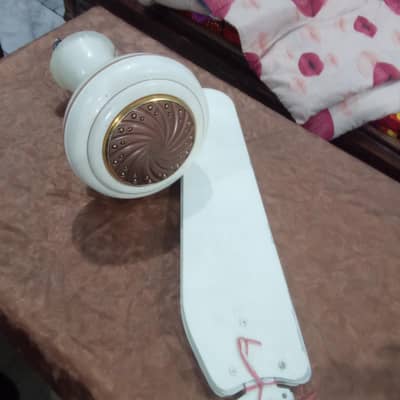 Electric Ceiling Fan for Sale
