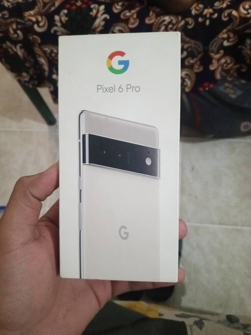 Google Pixel 6 Pro 2