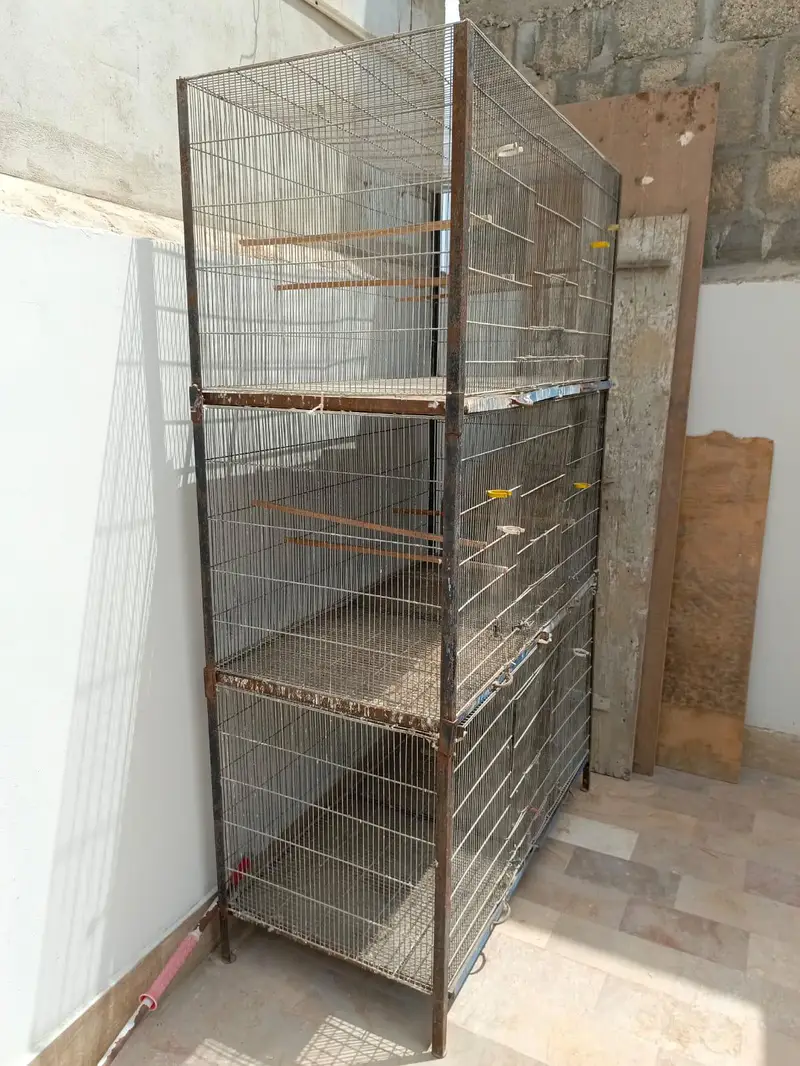 Large Folding Flying Bird Cage for Sale — photo 3