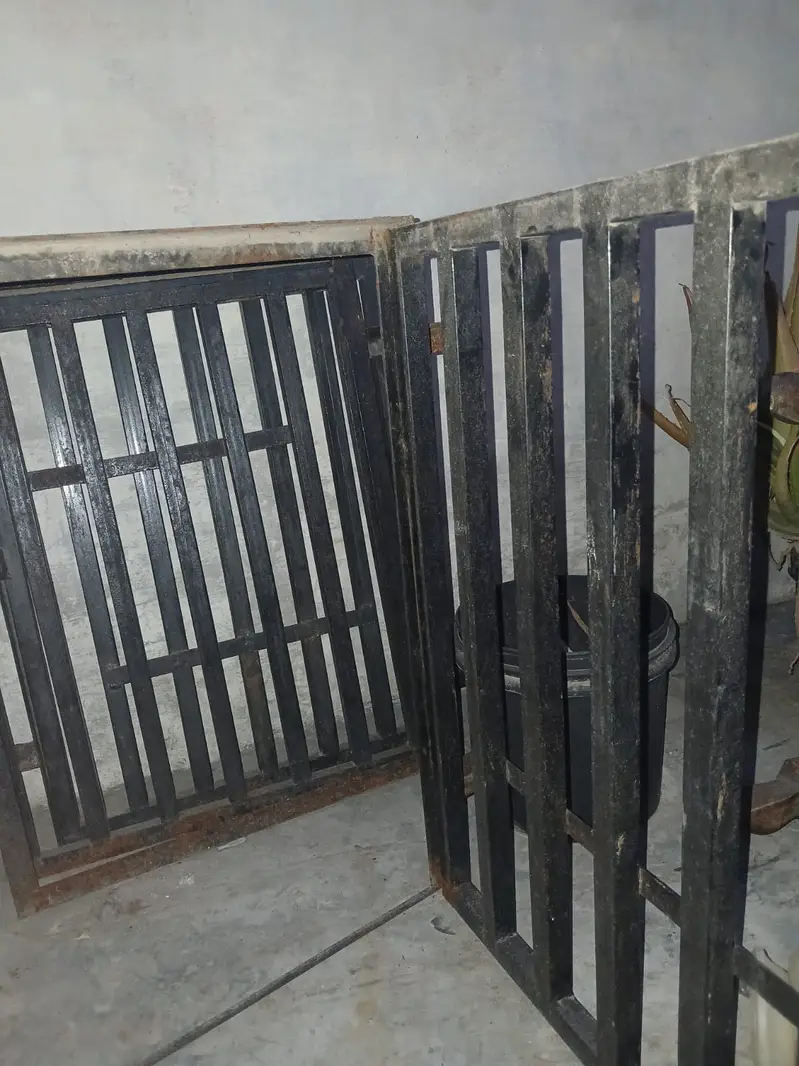 Iron doors — photo 2