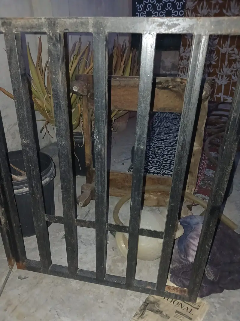 Iron doors — photo 3