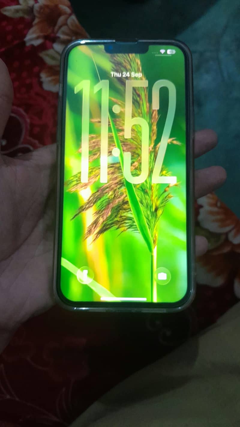 Apple iPhone 13 Pro Max 1