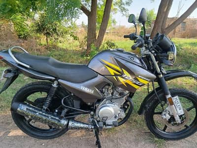 19 model all punjab number