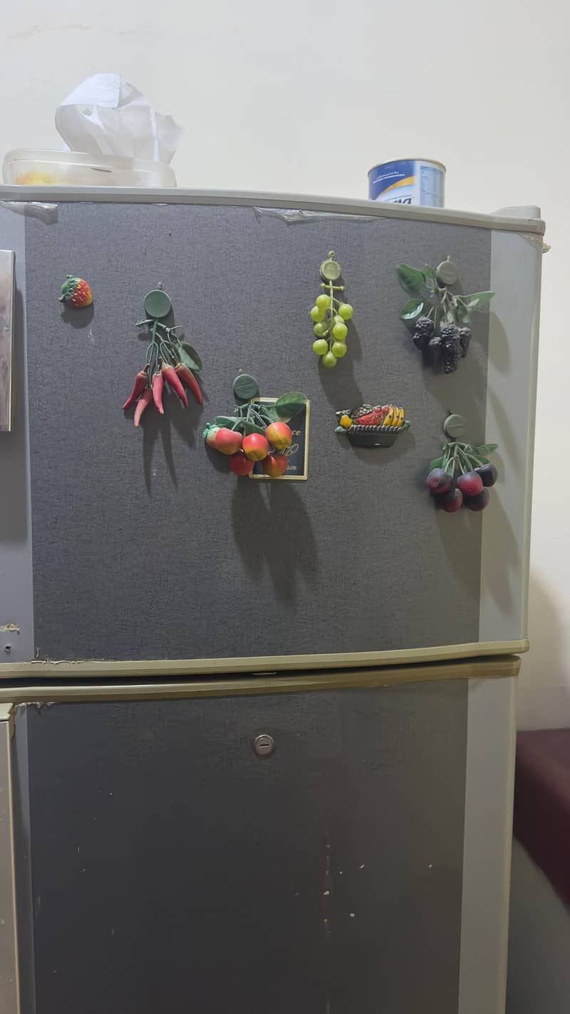 Dawlance Monogram Refrigerator 2
