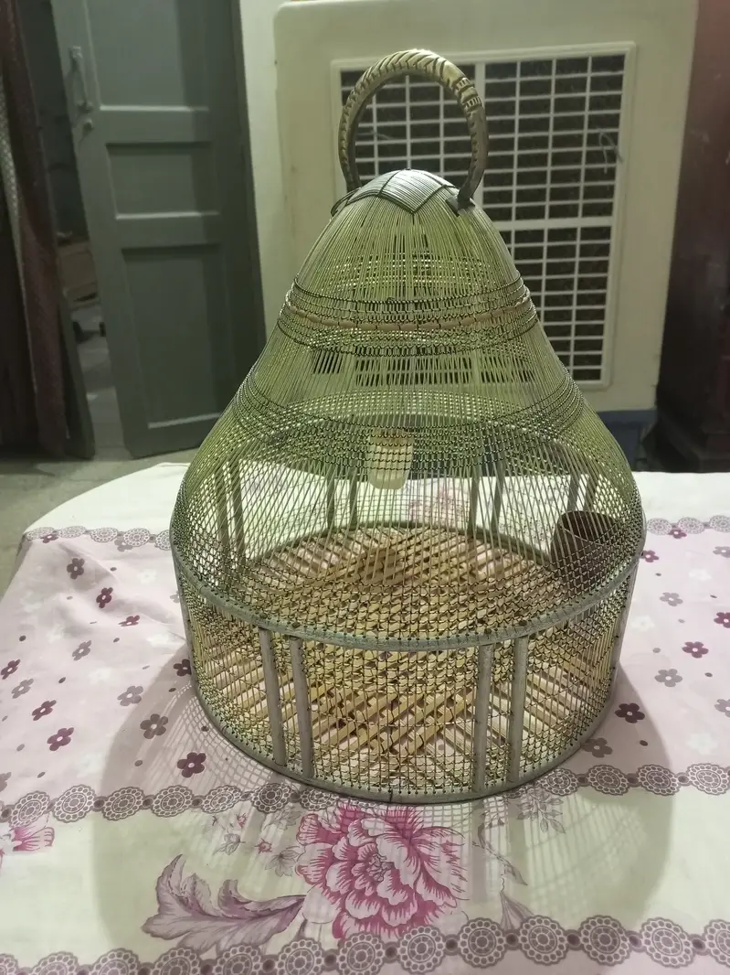 pinjra cage — photo 2