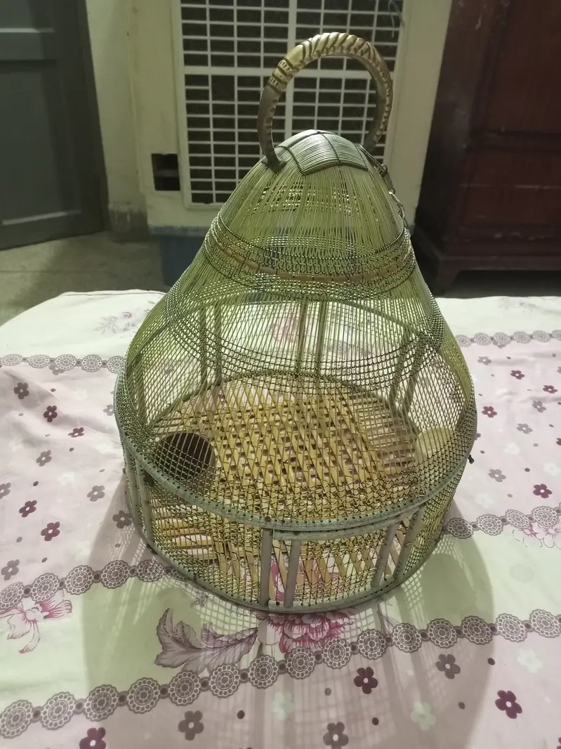 pinjra cage — photo 5