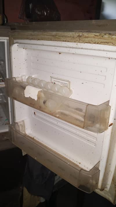 pel fridge for sell