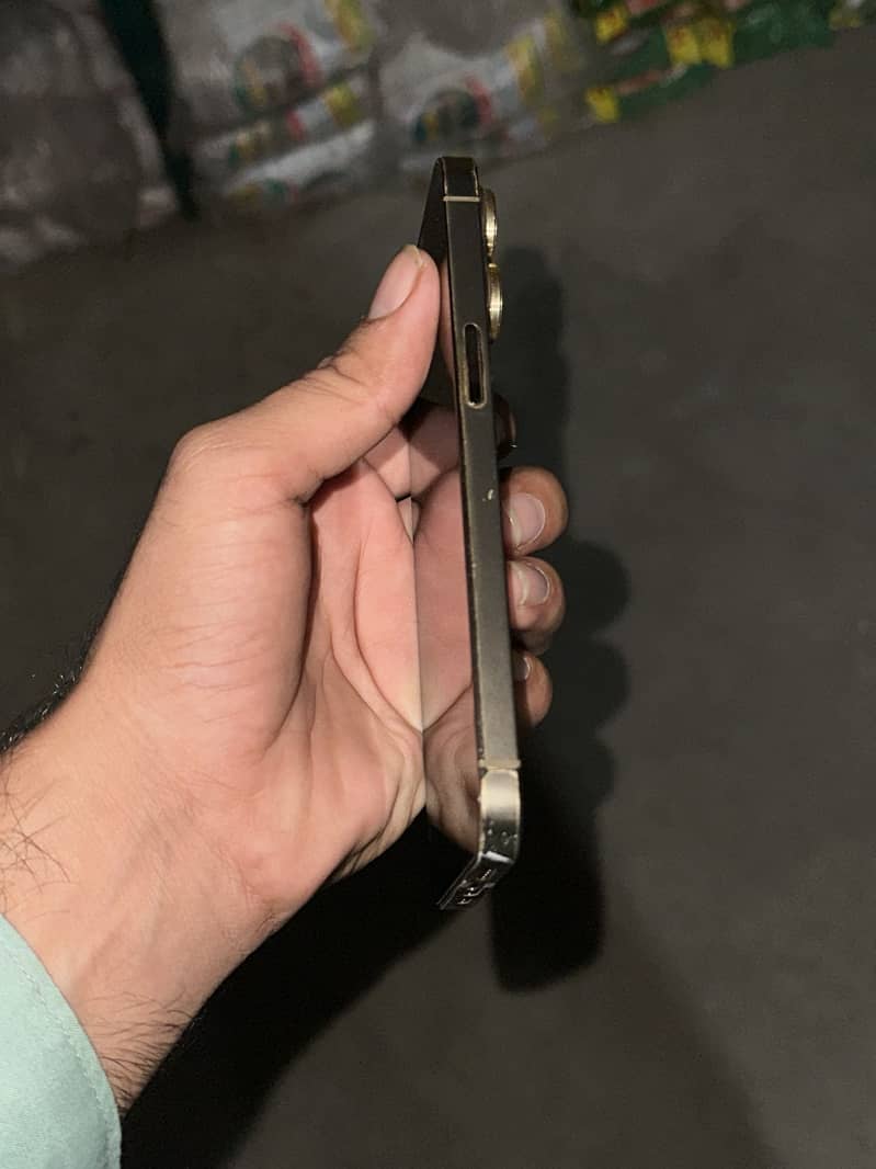Apple iPhone 13 Pro 1