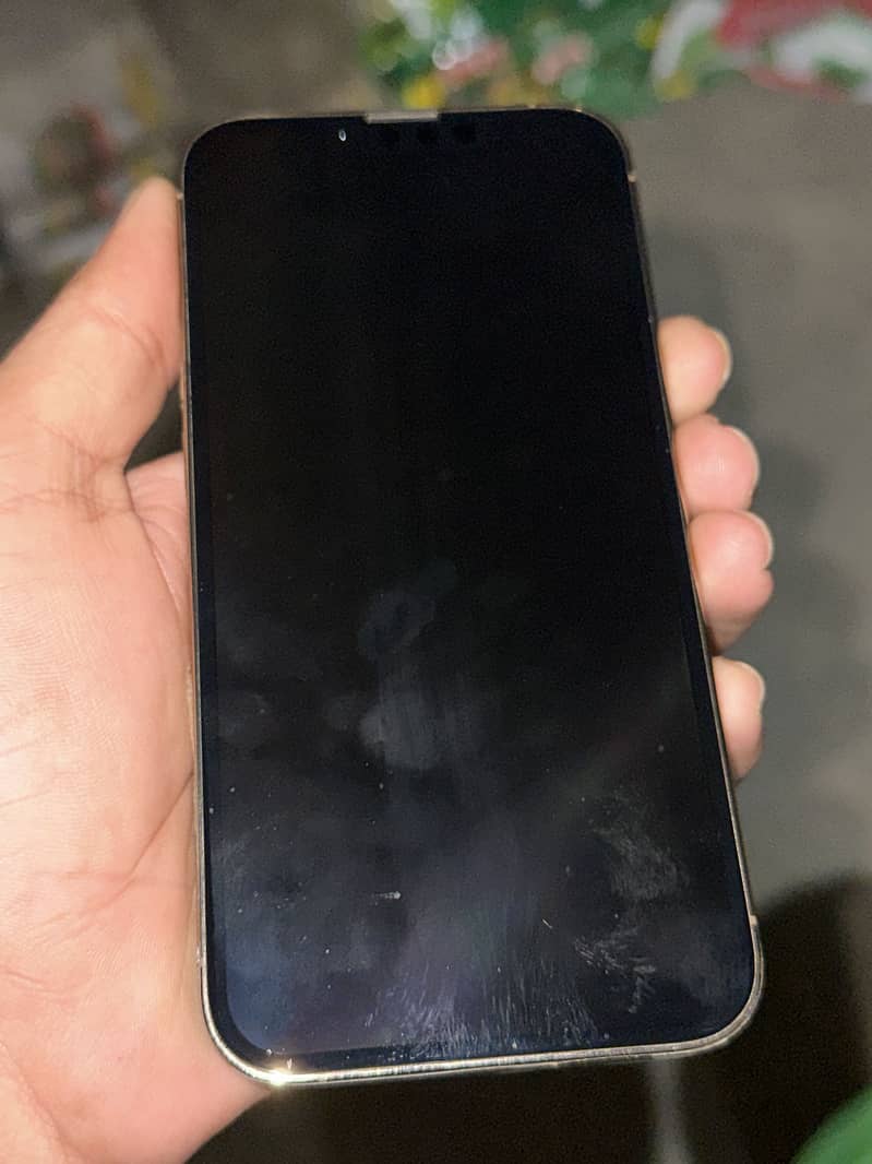 Apple iPhone 13 Pro 3