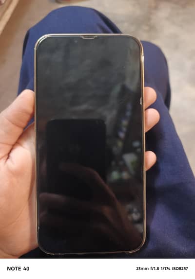 Apple iPhone 13 Pro Max jv