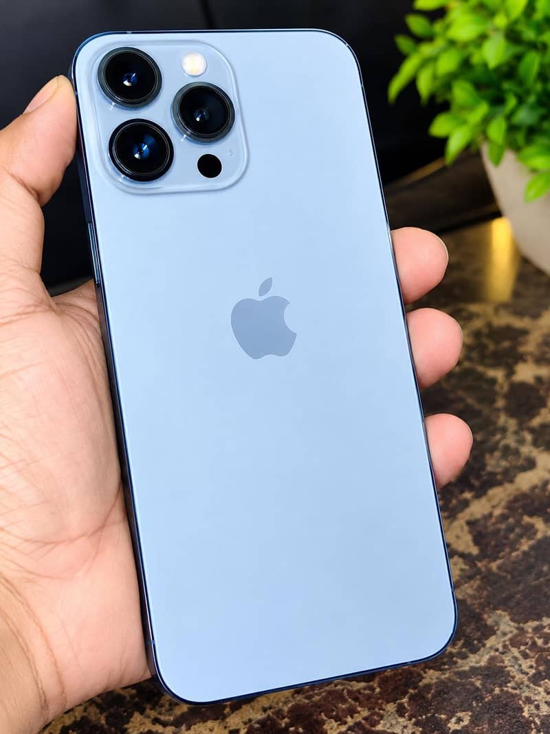 Apple iPhone 13 Pro Max 1