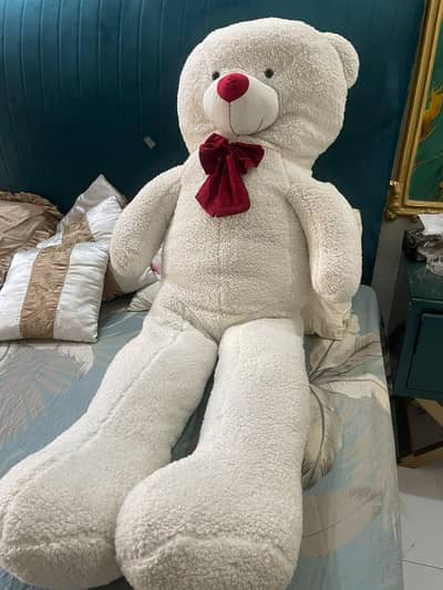 Brand New Teddy Bear For Sale