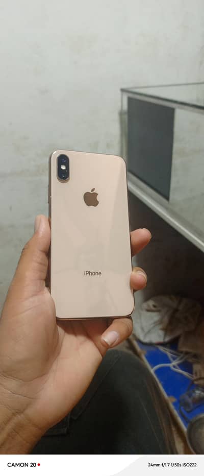 Apple iPhone XS