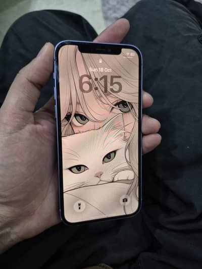 Apple iPhone 12