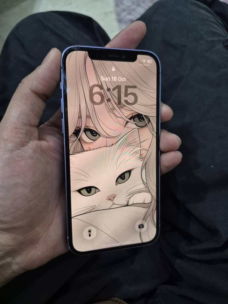 Apple iPhone 12 0