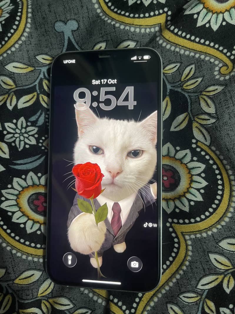 Apple iPhone 12 Pro Max 1