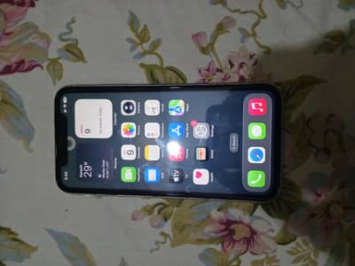Apple iPhone 11  JV