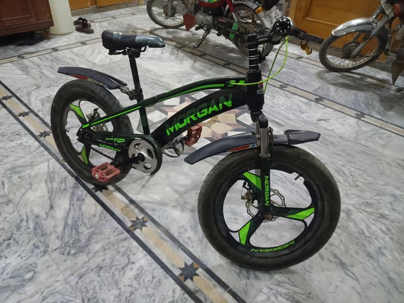 Morgan cycle 1