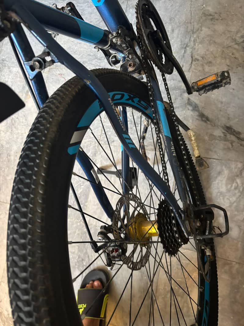voxy cycle 1