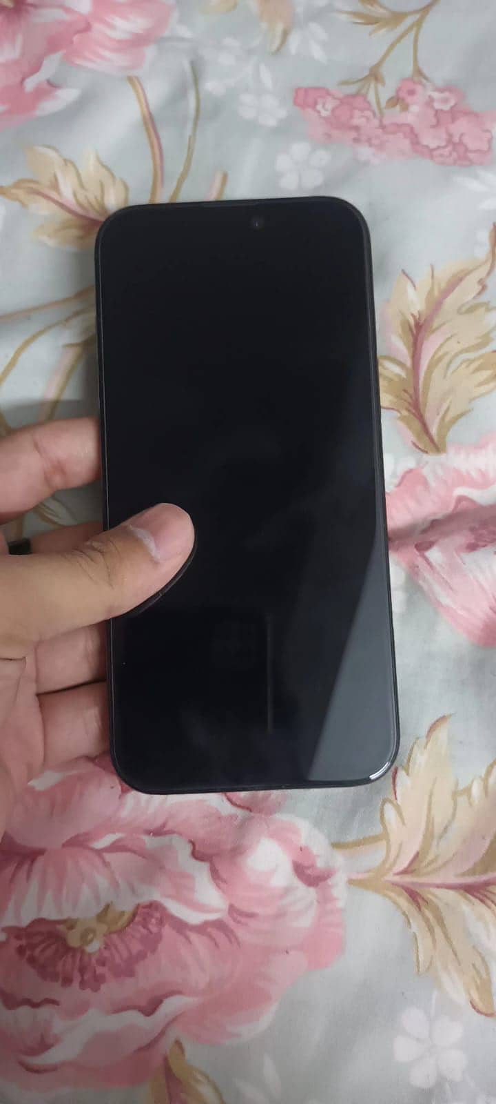 Apple iPhone 16 Pro Max 1