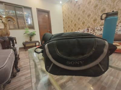 Sony Dcr-sx21