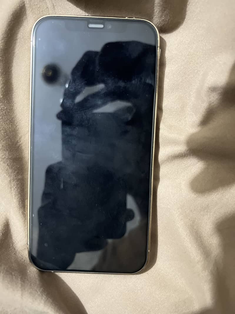 Apple iPhone 12 Pro 1
