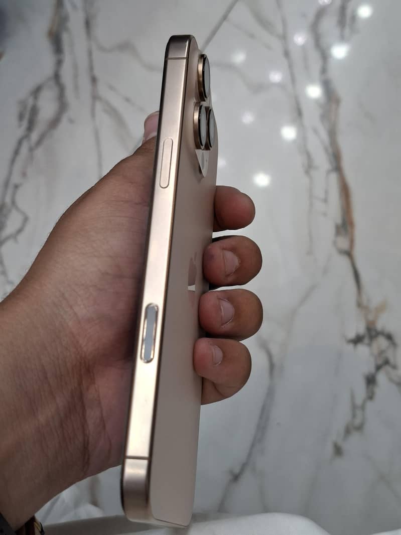 Apple iPhone 16 Pro Max 1