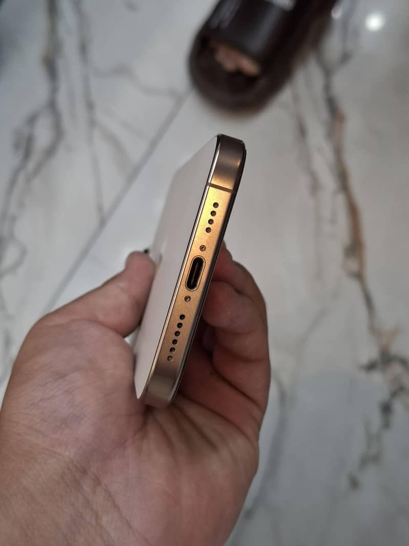 Apple iPhone 16 Pro Max 2