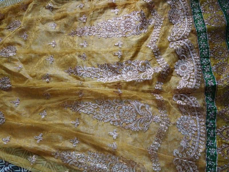 Mehandi maxi 5
