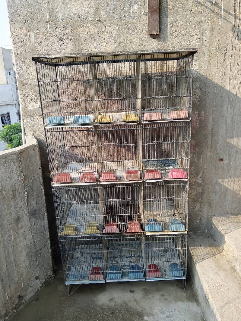 cages 1