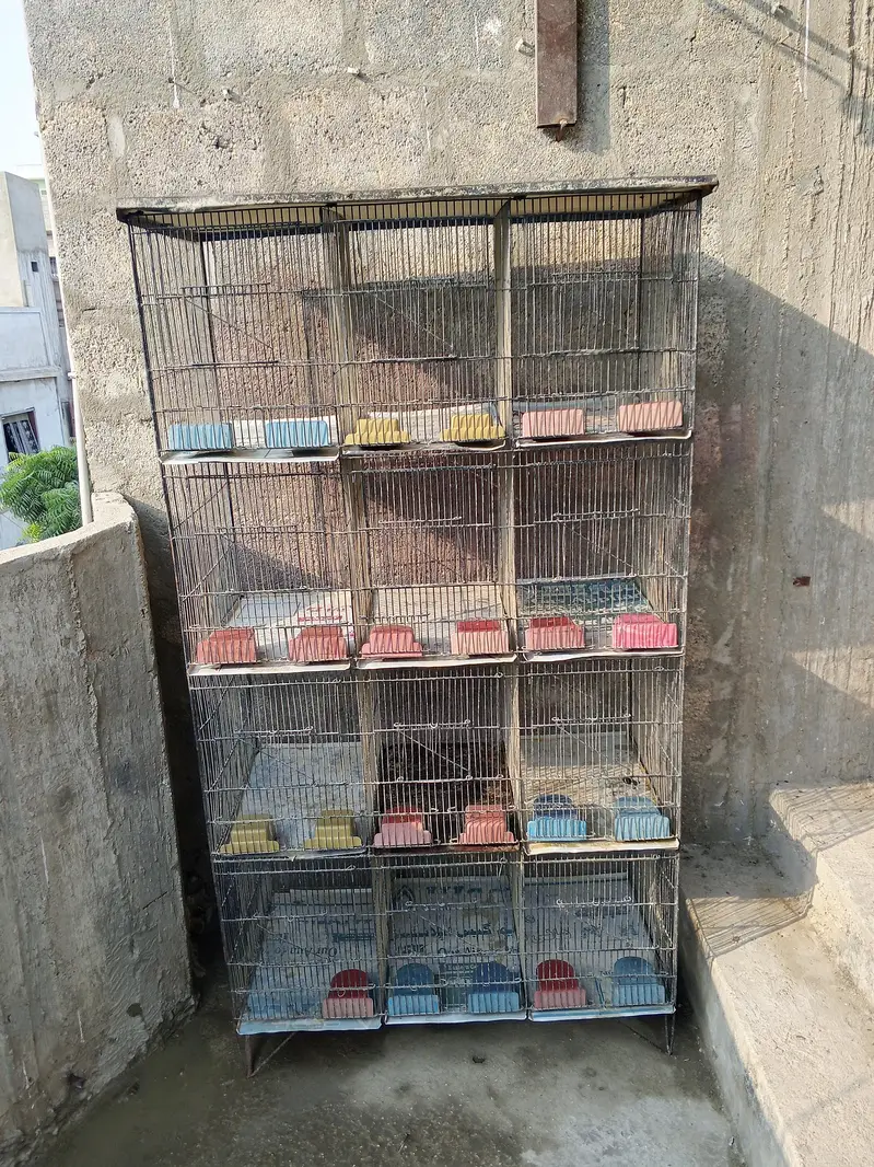 cages — photo 2