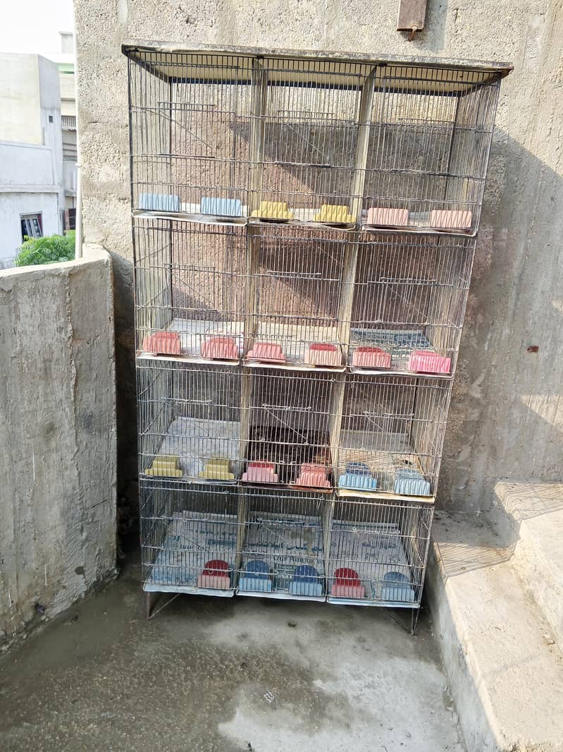 cages 2