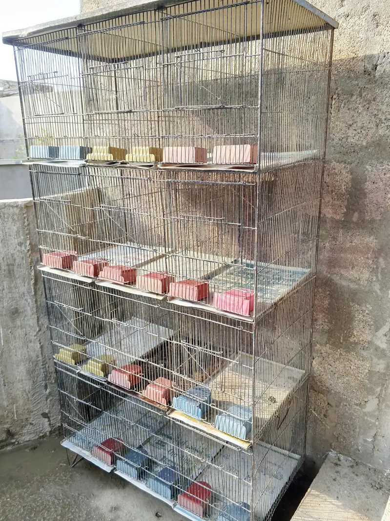 cages — photo 6
