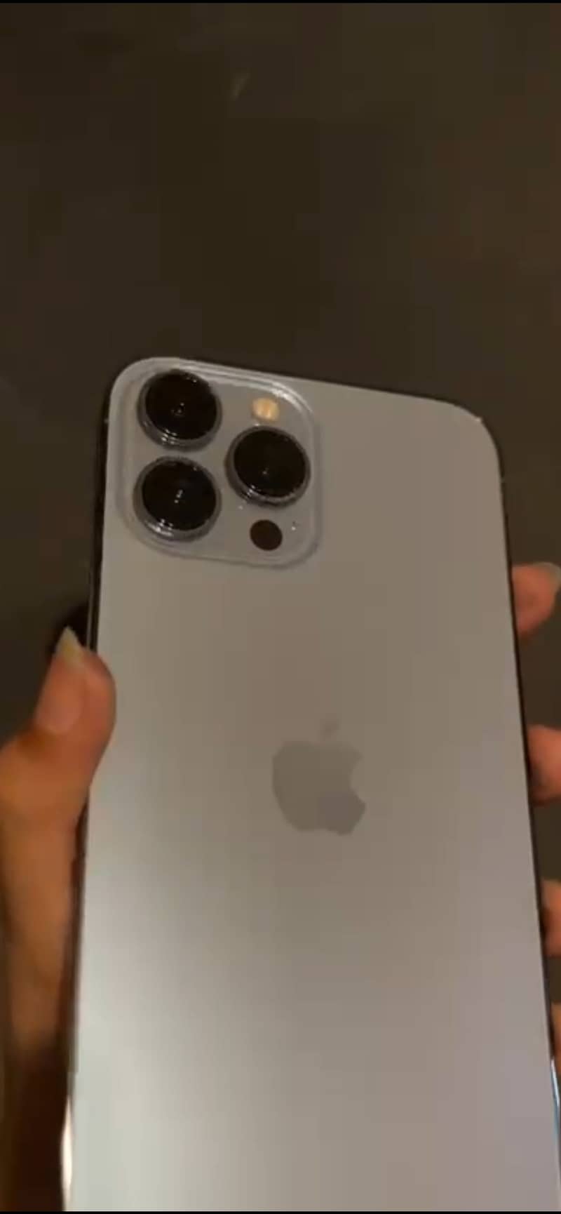 Apple iPhone 13 Pro Max 1