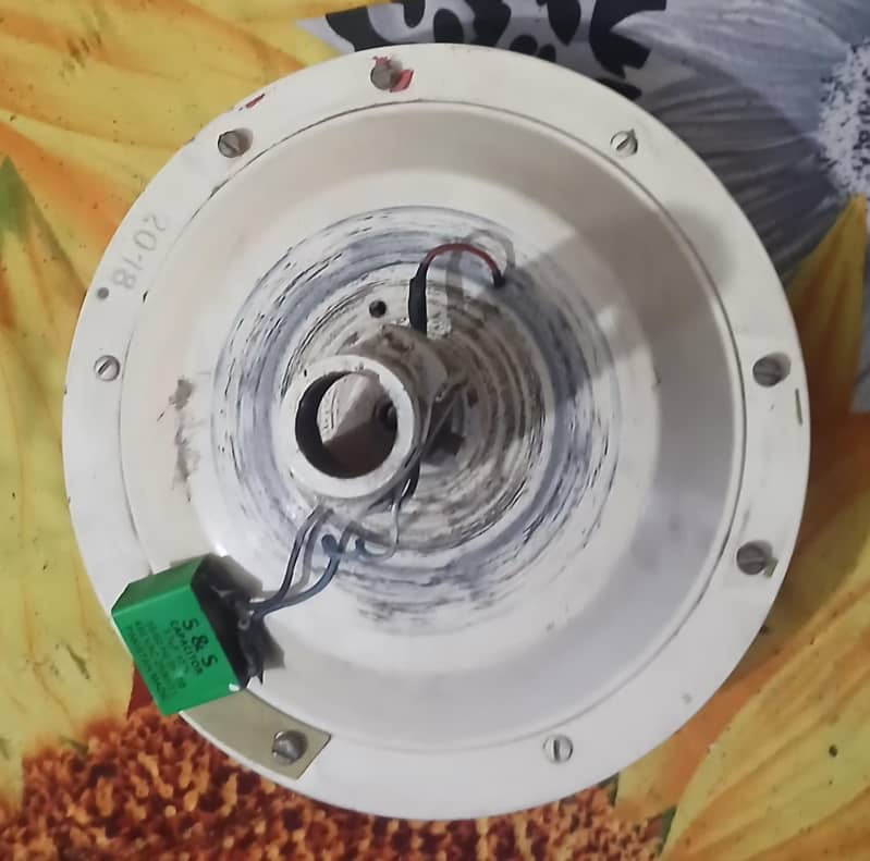 celling Fan 1