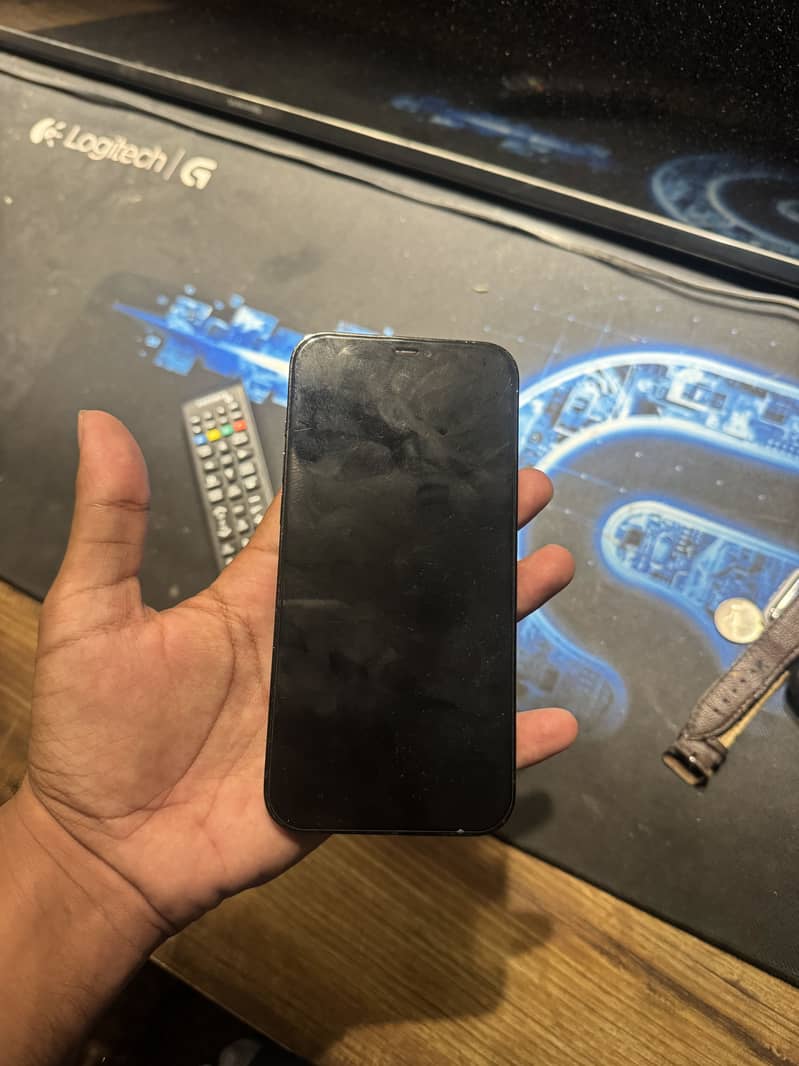 Apple iPhone 12 Pro Max 1