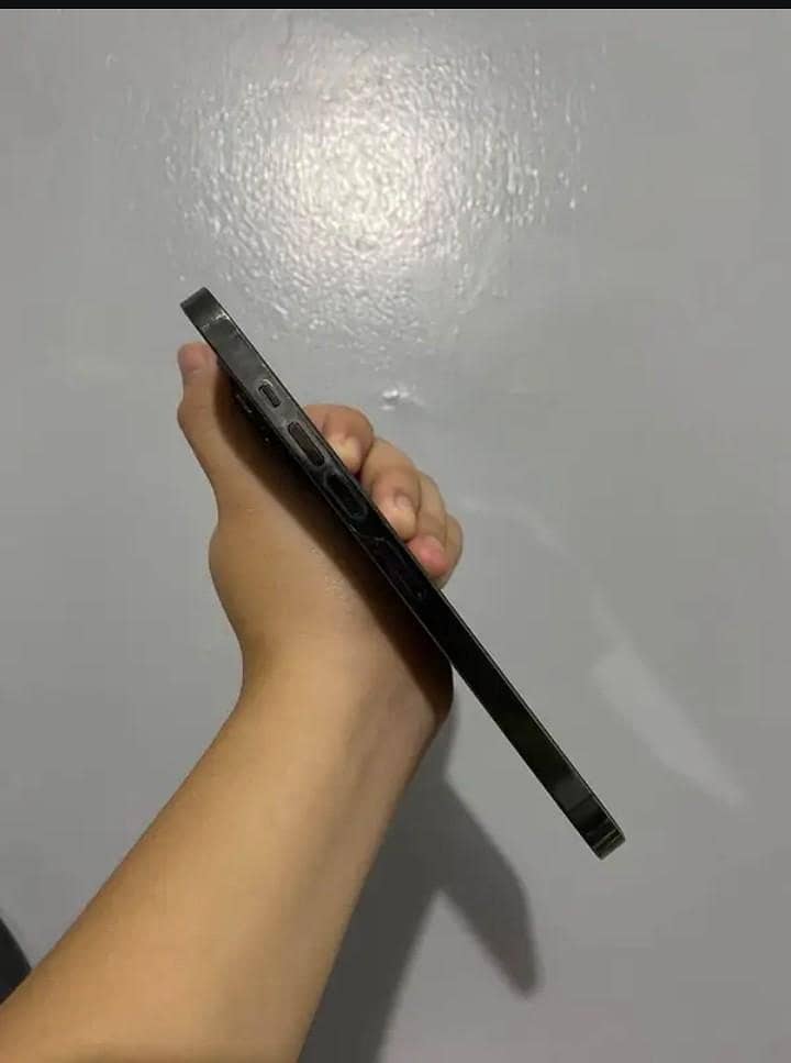 Apple iPhone 13 Pro Max 1