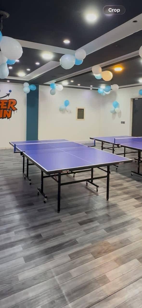 Table Tennis Table 0