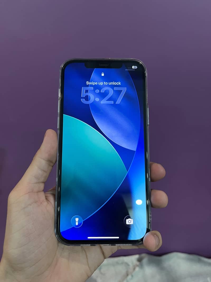 Apple iPhone 12 Pro Max 0
