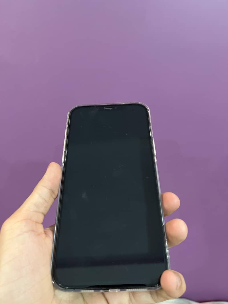 Apple iPhone 12 Pro Max 1